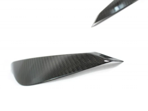 Mercedes Benz SLK Headlight Trim Kit - Carbon Fiber - R172
